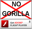 Get Adobe Flash player